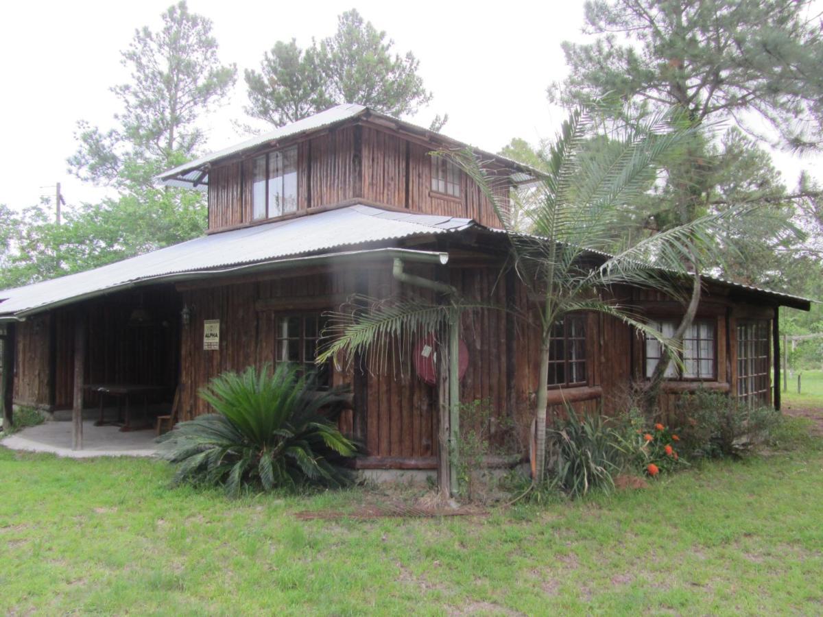 Toad Tree Cabins Sodwana Bay Exterior foto