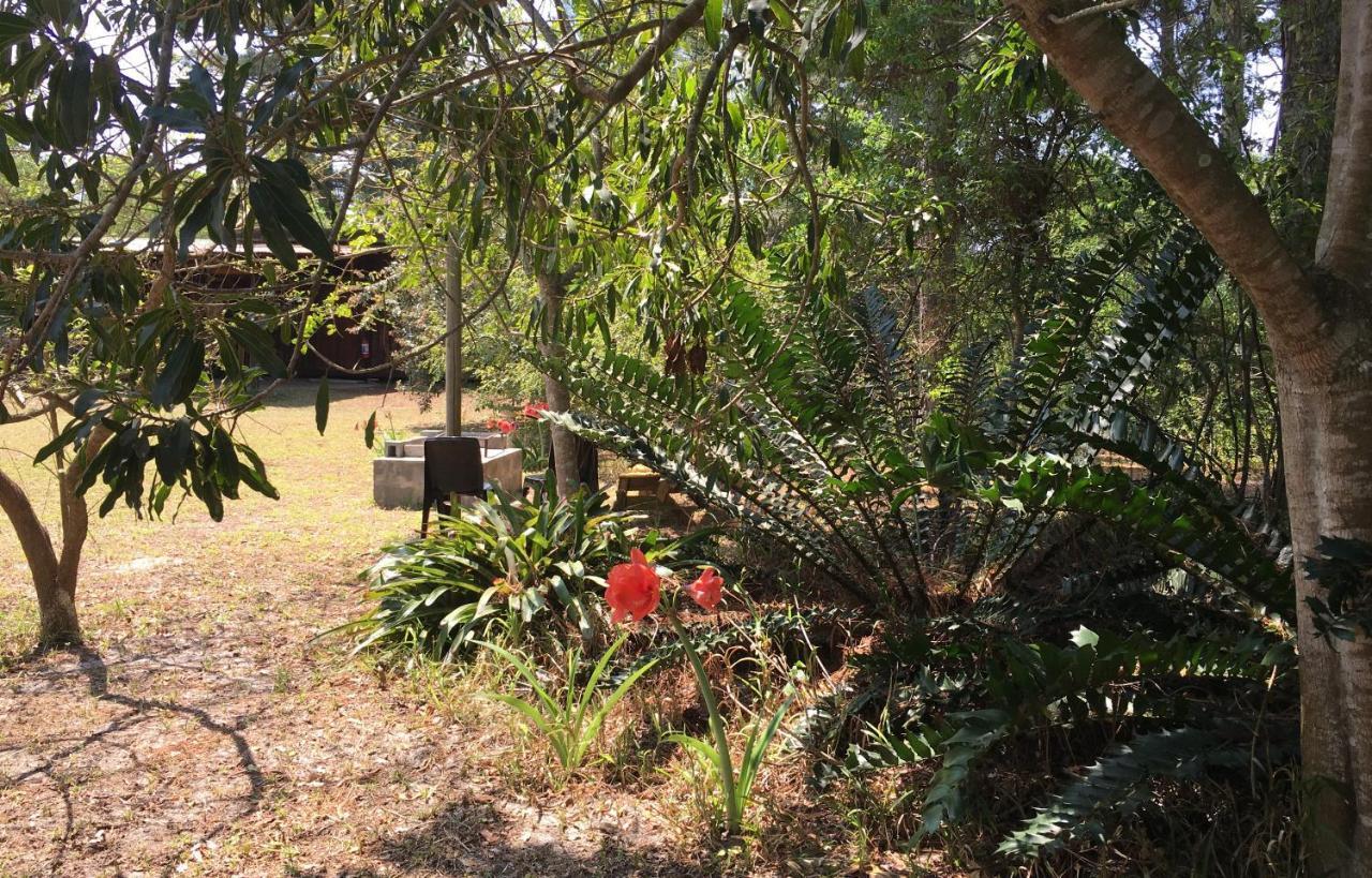 Toad Tree Cabins Sodwana Bay Exterior foto