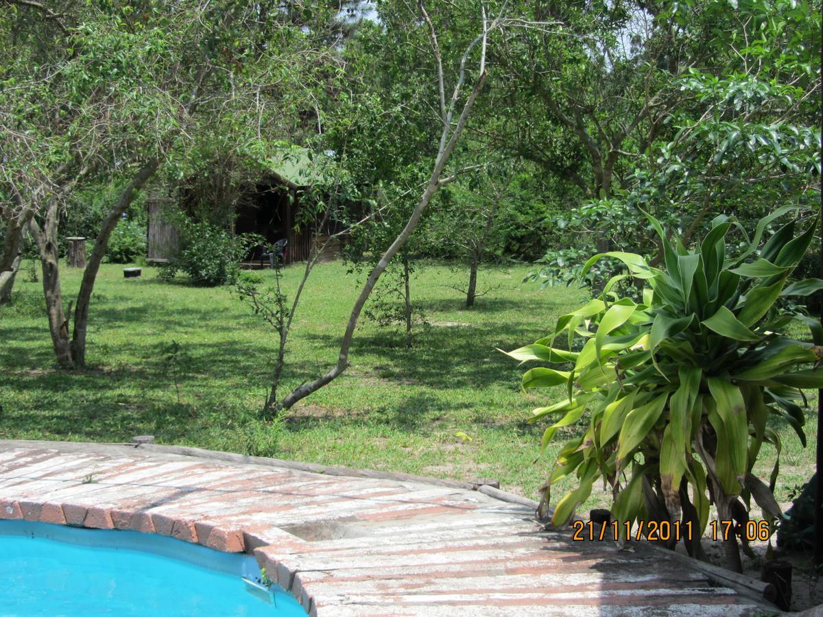 Toad Tree Cabins Sodwana Bay Exterior foto