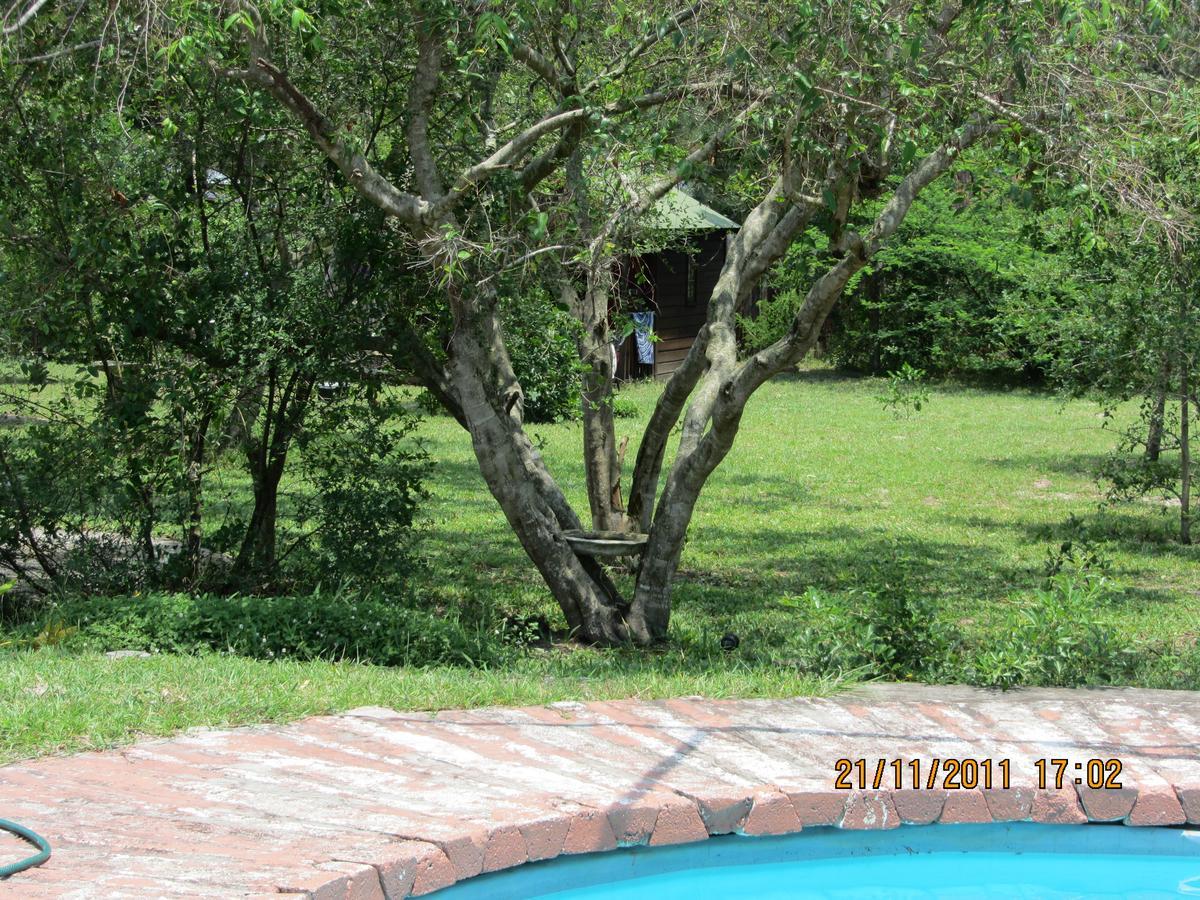 Toad Tree Cabins Sodwana Bay Exterior foto